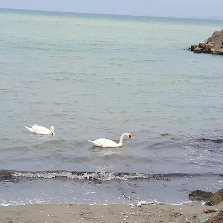 студио сарафово Апартамент Бургас