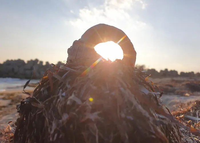 студио сарафово