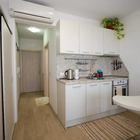 студио сарафово Apartment Burgas