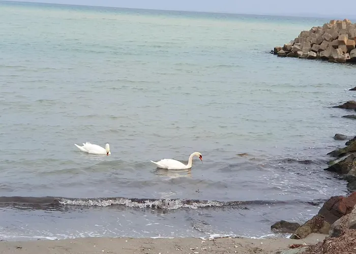 студио сарафово 公寓 布尔加斯